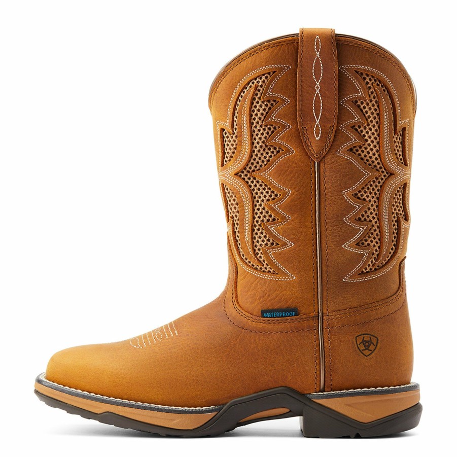 Women'S Boots * | Ariat Women'S Anthem Venttek Boots